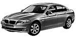 BMW F10 U2954 Fault Code